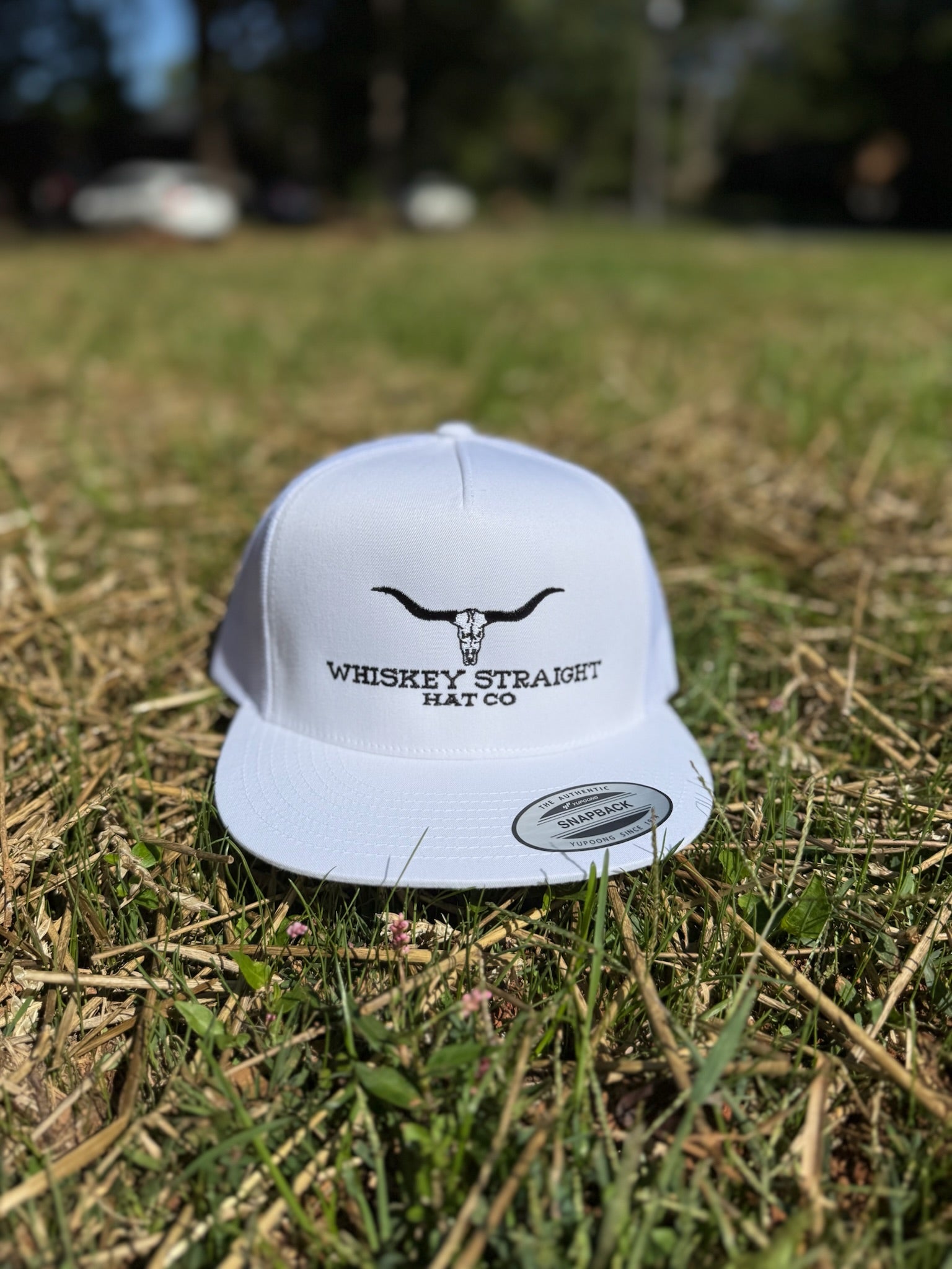 WSHC logo hat